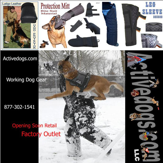 Active Dogs Logo